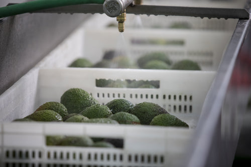 2023_MULTI_PURPOSE_BALM_V2_PERU_CAMPAIGN_PICTURES_FACTORY_18-min - Mustela Canada - 1