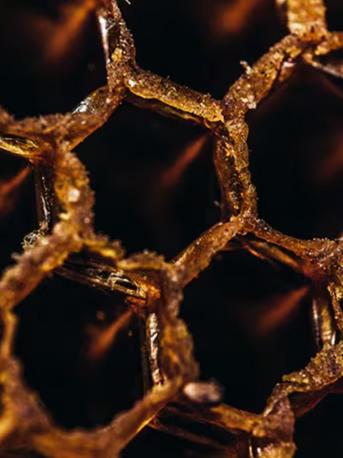 Capture_d_ecran_le_2024-07-12_a_14 - Mustela Canada - 1