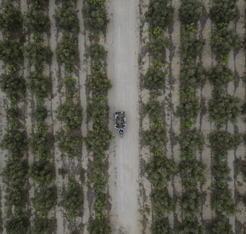 Champs-min_1 - Mustela Canada - 1