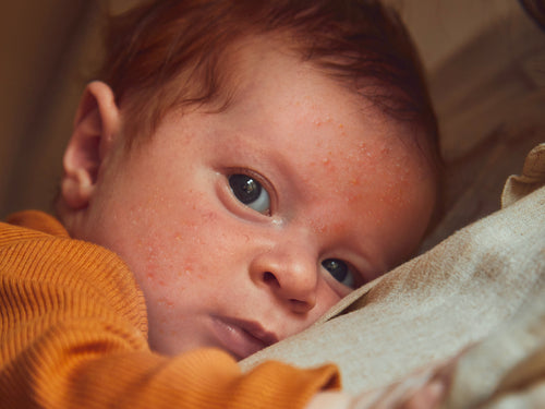 Newborn  - Mustela Canada - 7