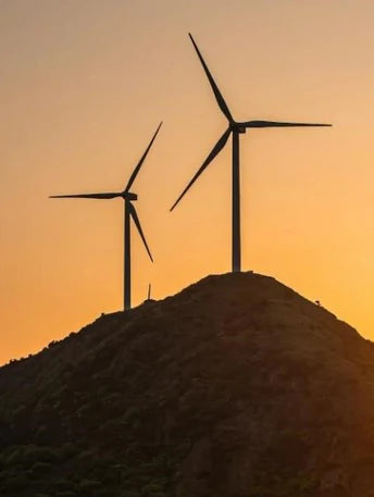 alim-nrj-verte-800x600-min_5e625498-eb53-4b8f-8ee2-f4599cc02511 - Mustela Canada - 1