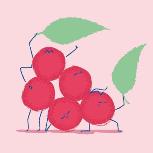 le-schisandra - Mustela Canada - 1