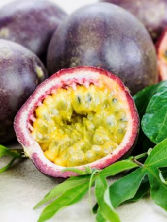 perou-maracuja - Mustela Canada - 1