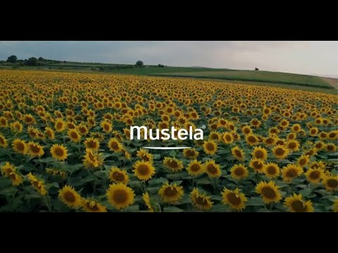 Gel lavant Stelatopia au Tournesol BIO - Mustela Canada - 6
