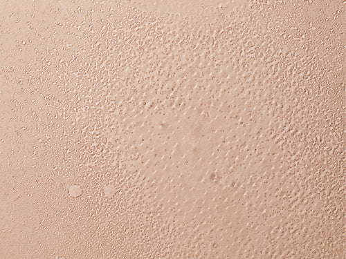 texture eau coiffante et raffraichissante slider - Mustela Canada - 6